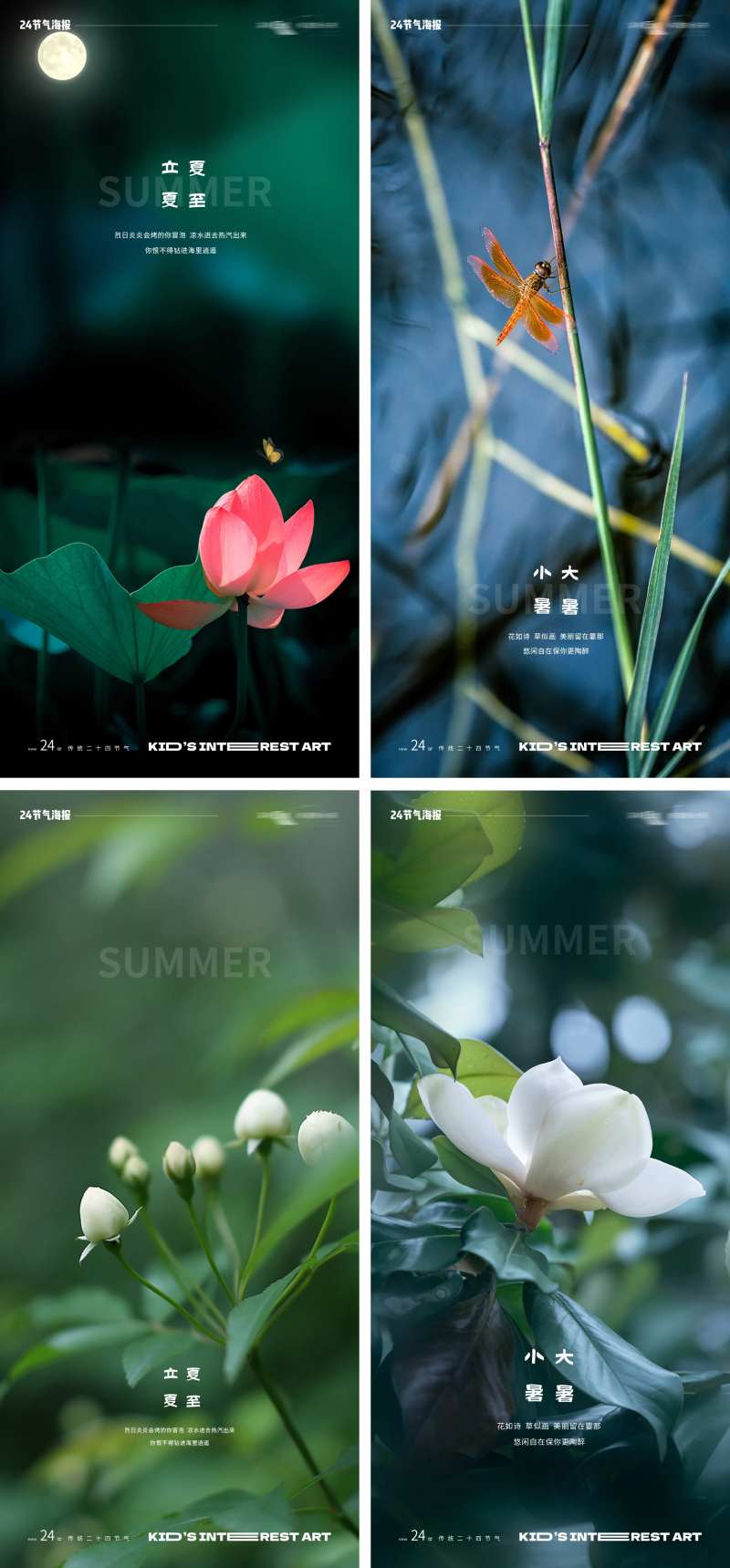 立夏夏至小暑大暑夏至花卉海报-采灵感-cailinggan.com