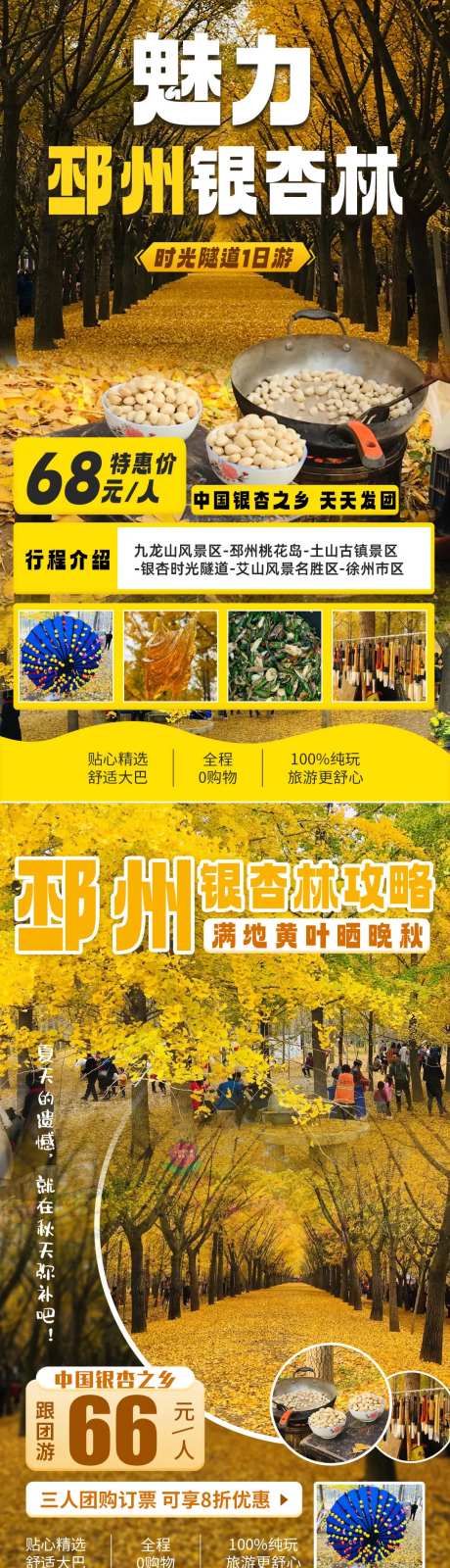 银杏林旅游海报-采灵感-https://www.cailinggan.com/