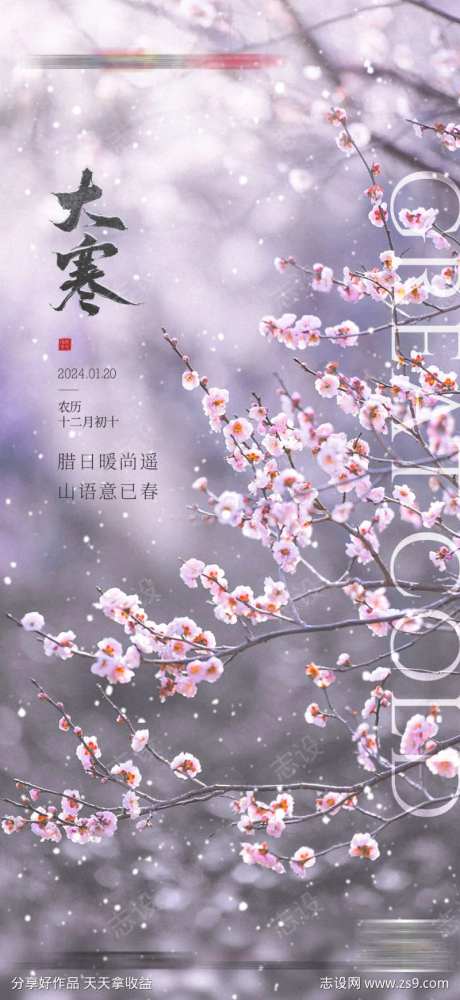 地产大寒梅花唯美海报-采灵感-https://www.cailinggan.com/