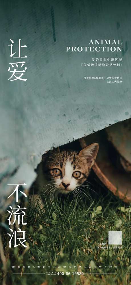 流浪猫公益海报-采灵感-https://www.cailinggan.com/