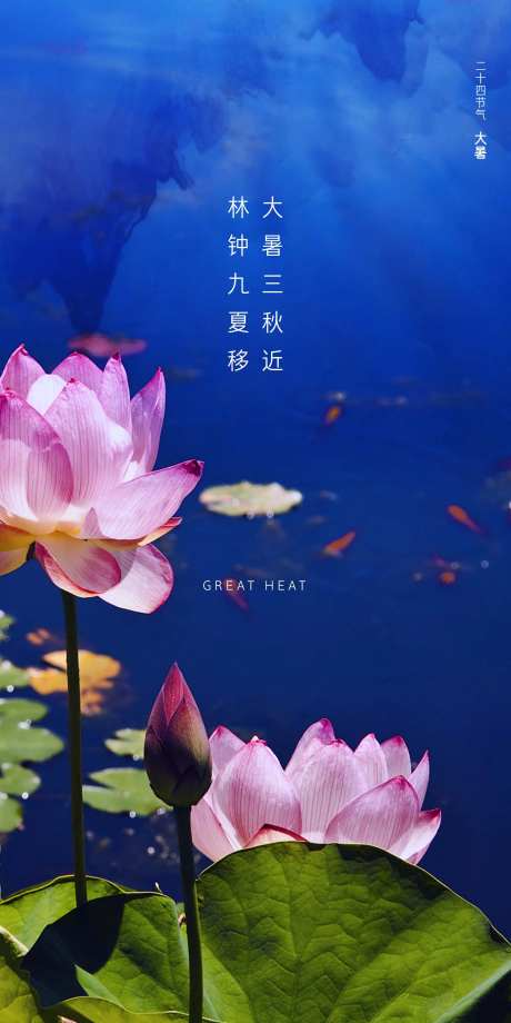 荷花大暑节气海报-采灵感-https://www.cailinggan.com/