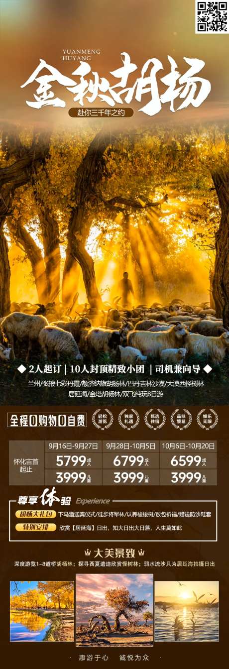 金秋胡杨旅游海报-采灵感-https://www.cailinggan.com/