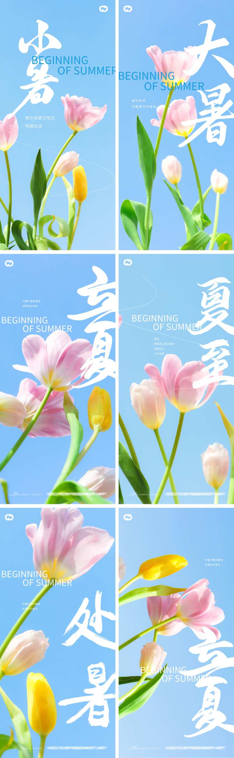 立夏夏至小暑大暑处暑花卉系列海报-采灵感-cailinggan.com