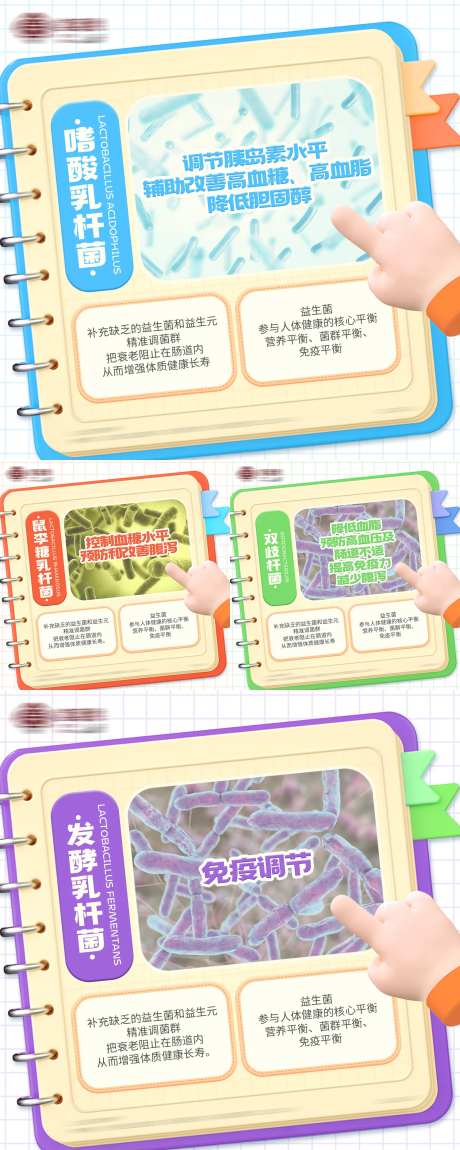 正方形益生菌有益菌种类科普海报-采灵感-https://www.cailinggan.com/