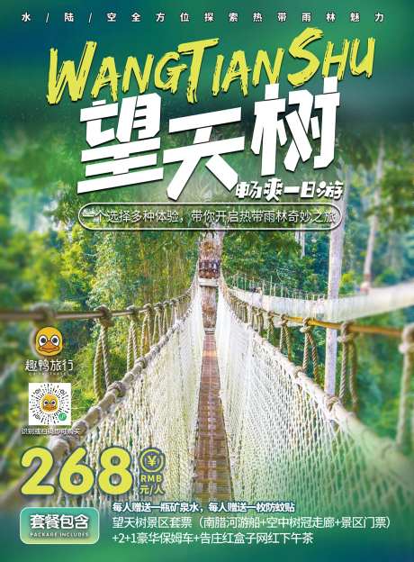 西双版纳望天树旅游海报-采灵感-https://www.cailinggan.com/