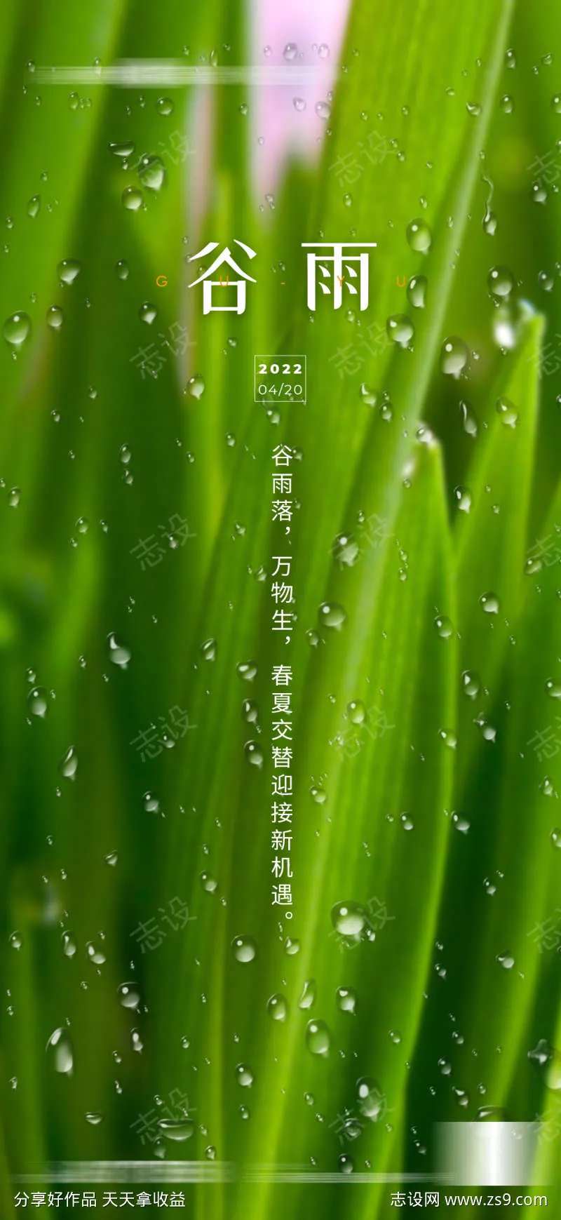 地产谷雨雨水清明节气海报-采灵感-cailinggan.com