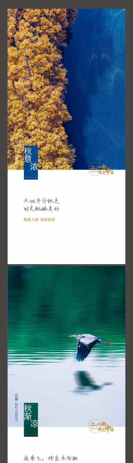 秋天白露秋分节气海报-采灵感-https://www.cailinggan.com/