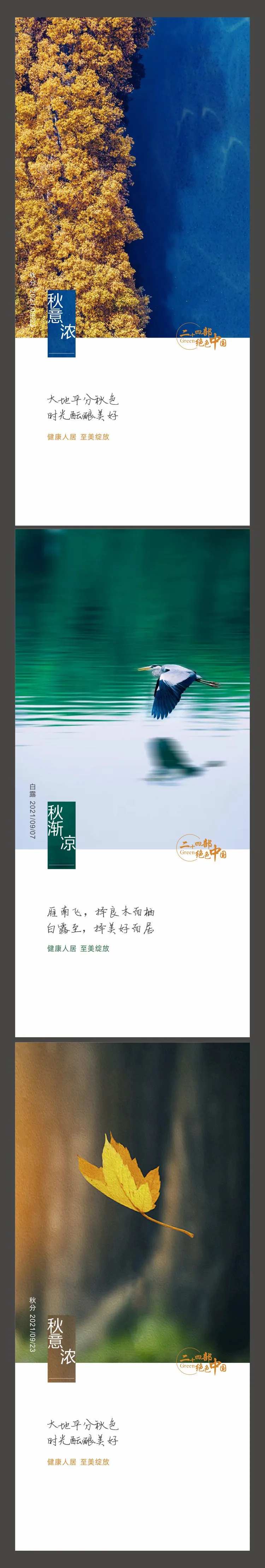 秋天白露秋分节气海报-采灵感-cailinggan.com