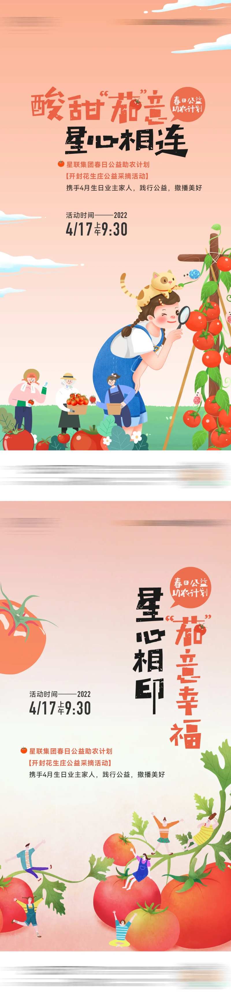 西红柿采摘活动海报-采灵感-cailinggan.com