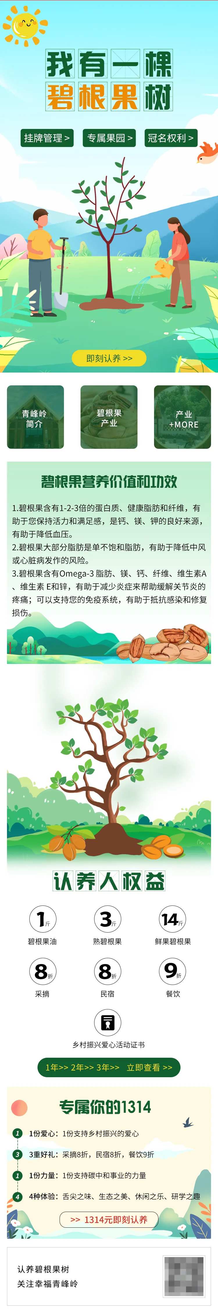 绿色插画碧根果果园植树首页-采灵感-cailinggan.com