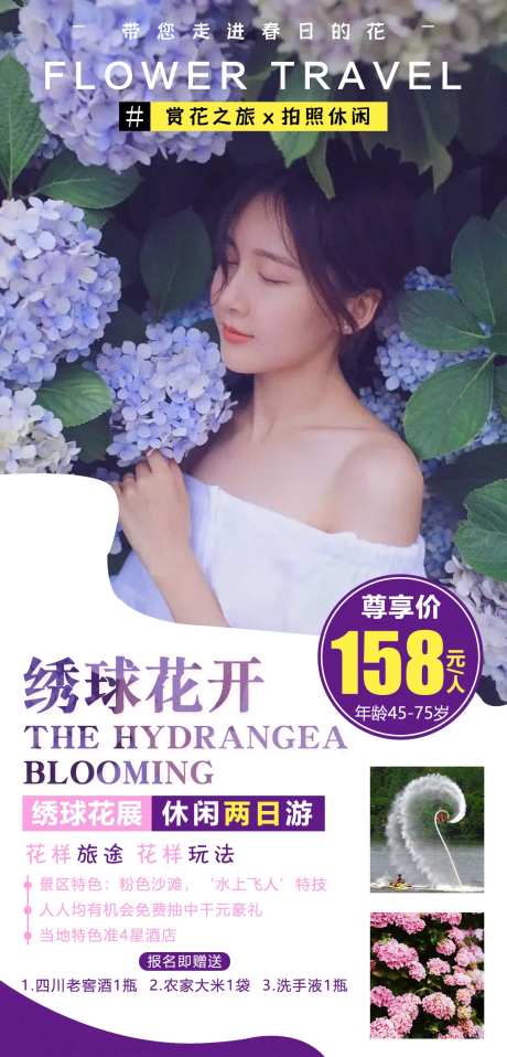 绣球花开-采灵感-https://www.cailinggan.com/