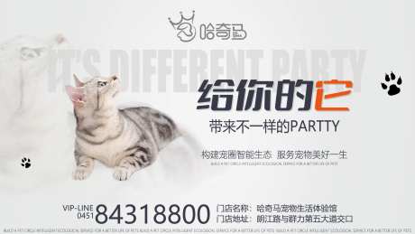 宠物店开业海报-采灵感-https://www.cailinggan.com/