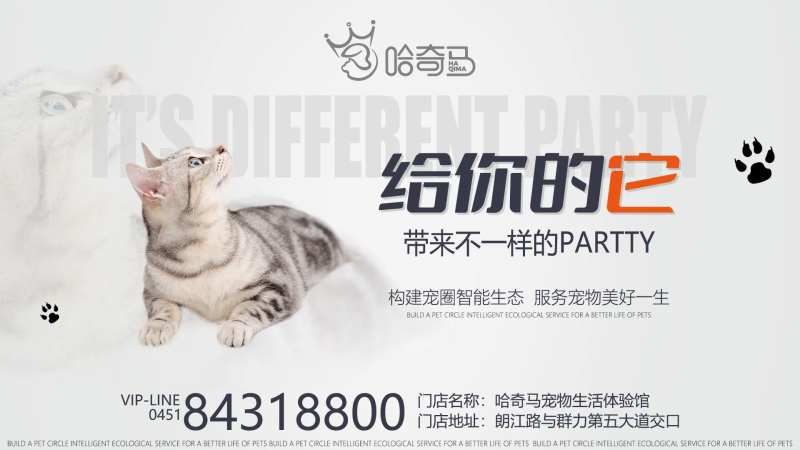 宠物店开业海报-采灵感-cailinggan.com
