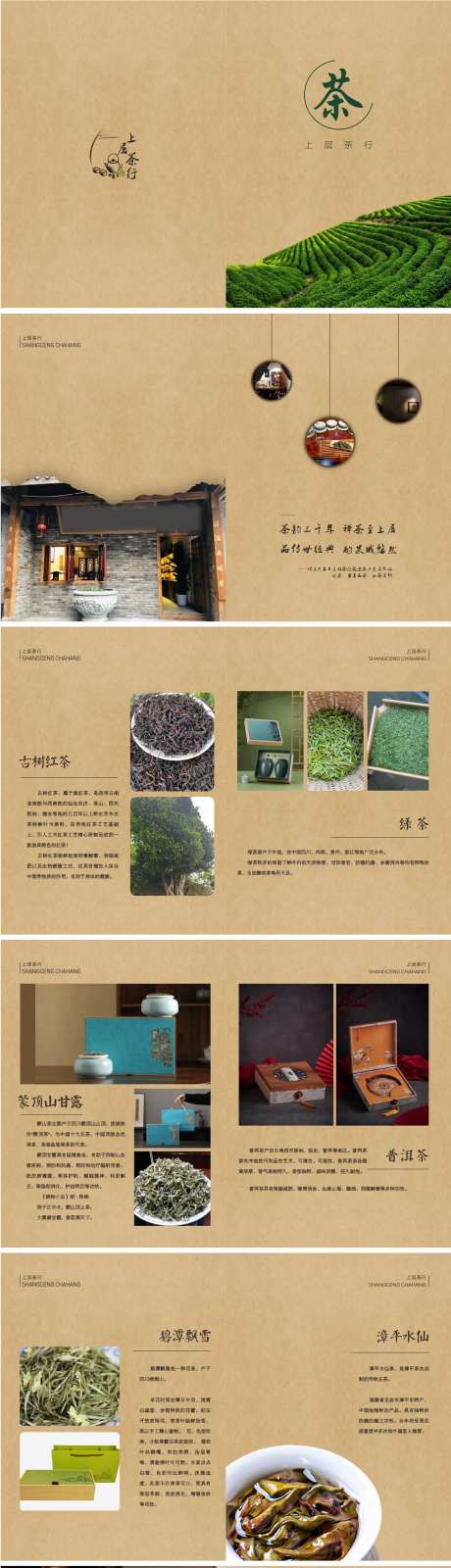 茶业宣传册-采灵感-https://www.cailinggan.com/