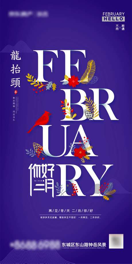 你好二月花草花二月-采灵感-https://www.cailinggan.com/