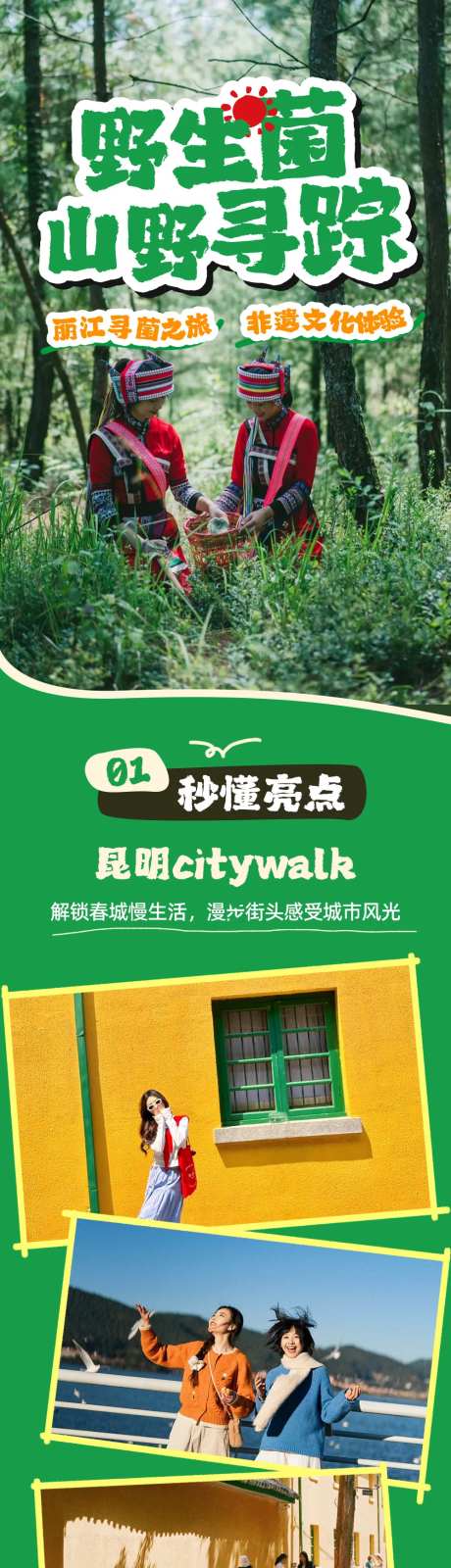 云南野生菌山野寻味详情页-采灵感-https://www.cailinggan.com/