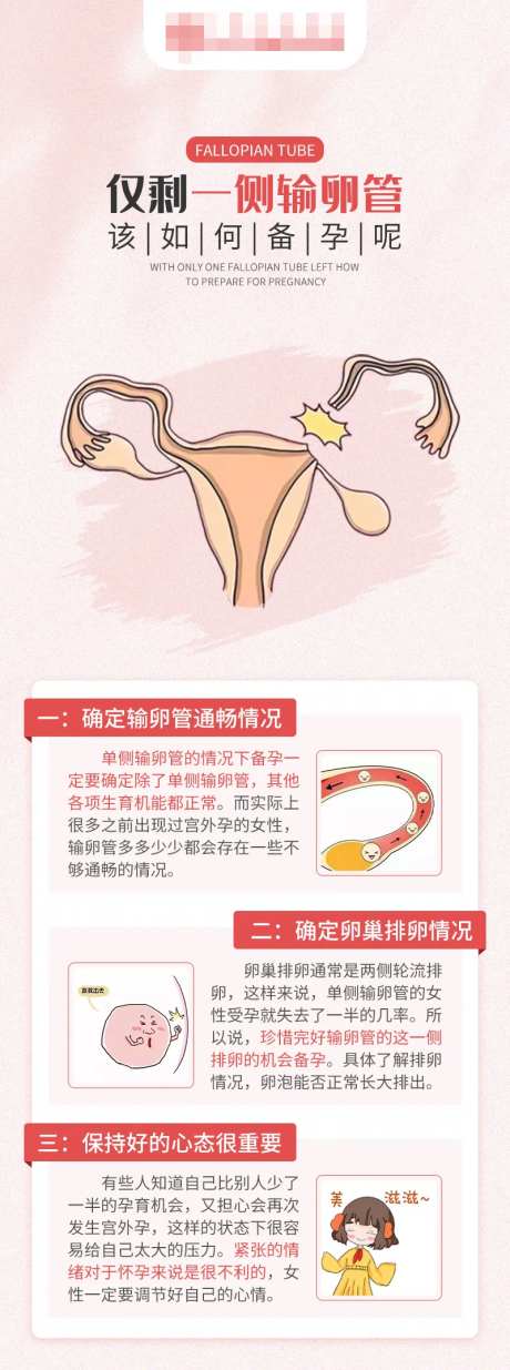不孕科普输卵管海报-采灵感-https://www.cailinggan.com/