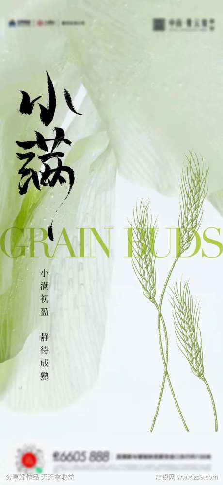 小满芒种夏至海报-采灵感-cailinggan.com