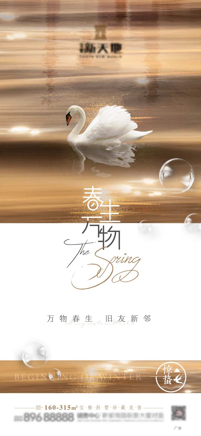 春生万物惊蛰节气海报-采灵感-cailinggan.com