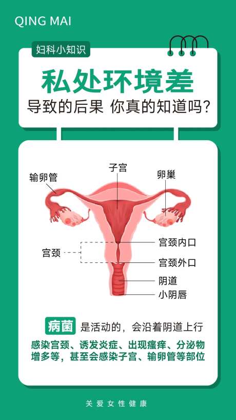 女性健康妇科疾病科普海报-采灵感-https://www.cailinggan.com/