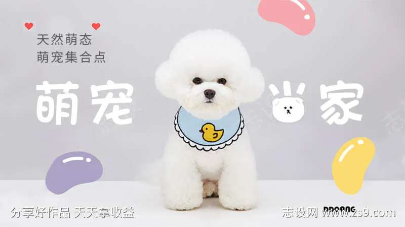 浅蓝色简约萌宠当家宠物轮播-采灵感-cailinggan.com
