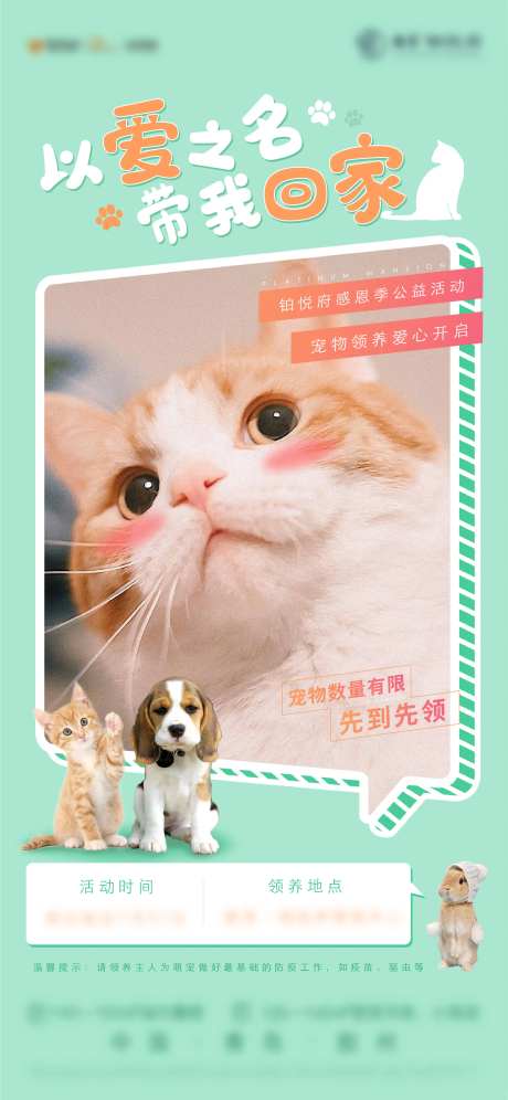 宠物活动-采灵感-https://www.cailinggan.com/