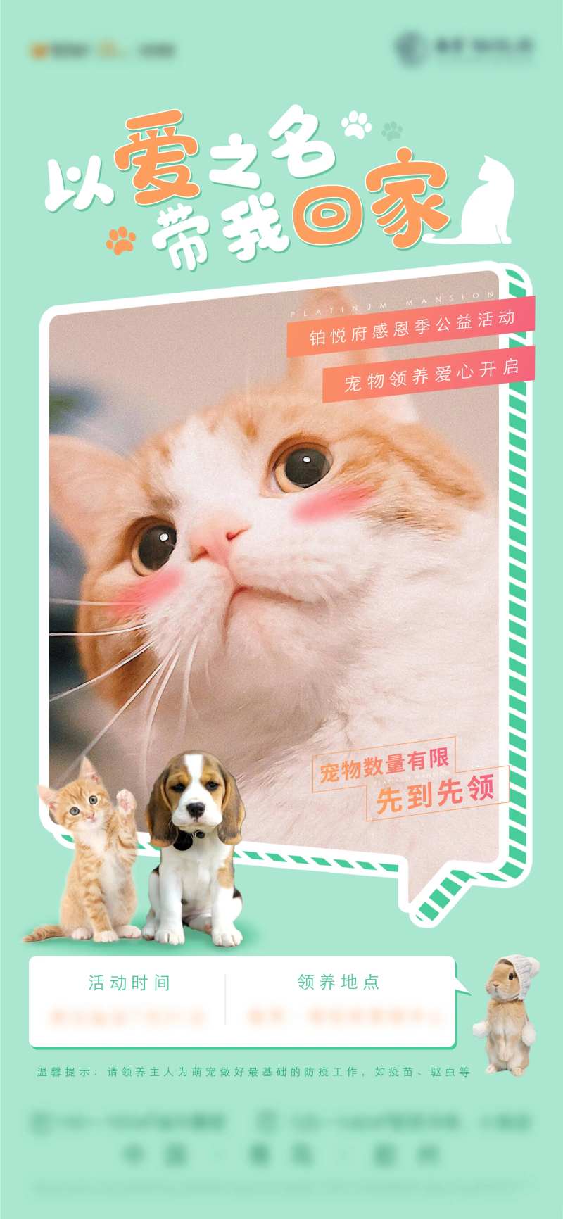 宠物活动-采灵感-cailinggan.com