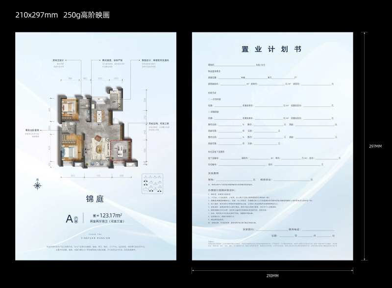 户型单置业计划书-采灵感-cailinggan.com