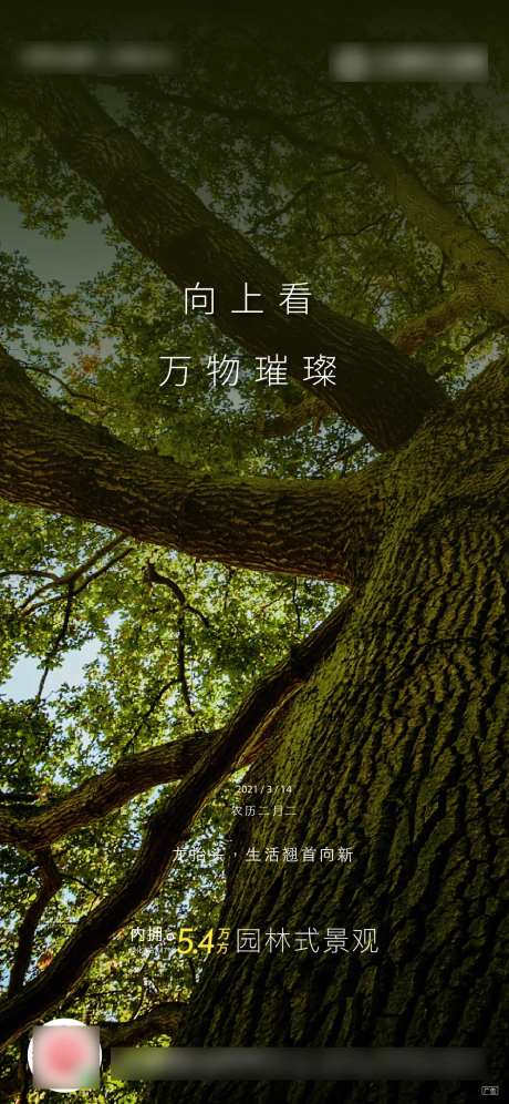 森氧价值海报-采灵感-https://www.cailinggan.com/