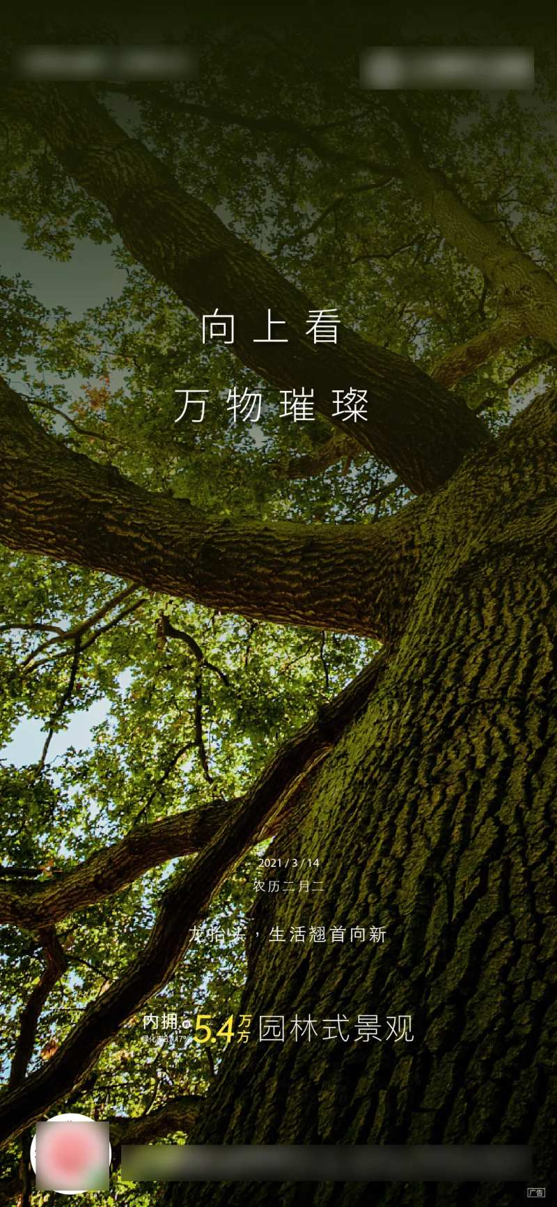 森氧价值海报-采灵感-cailinggan.com