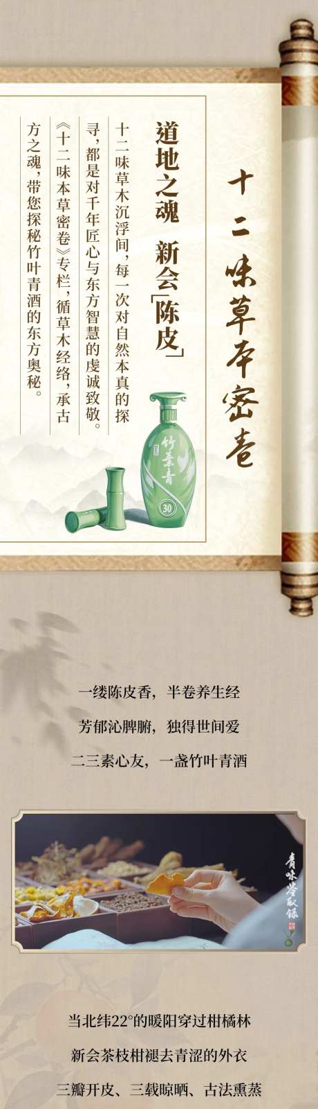 草本密卷长图-采灵感-https://www.cailinggan.com/