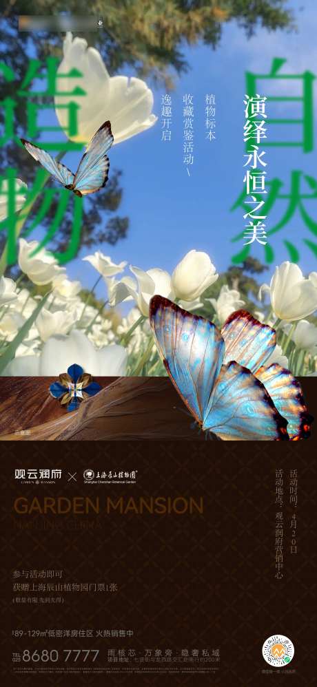 标本活动海报-采灵感-https://www.cailinggan.com/