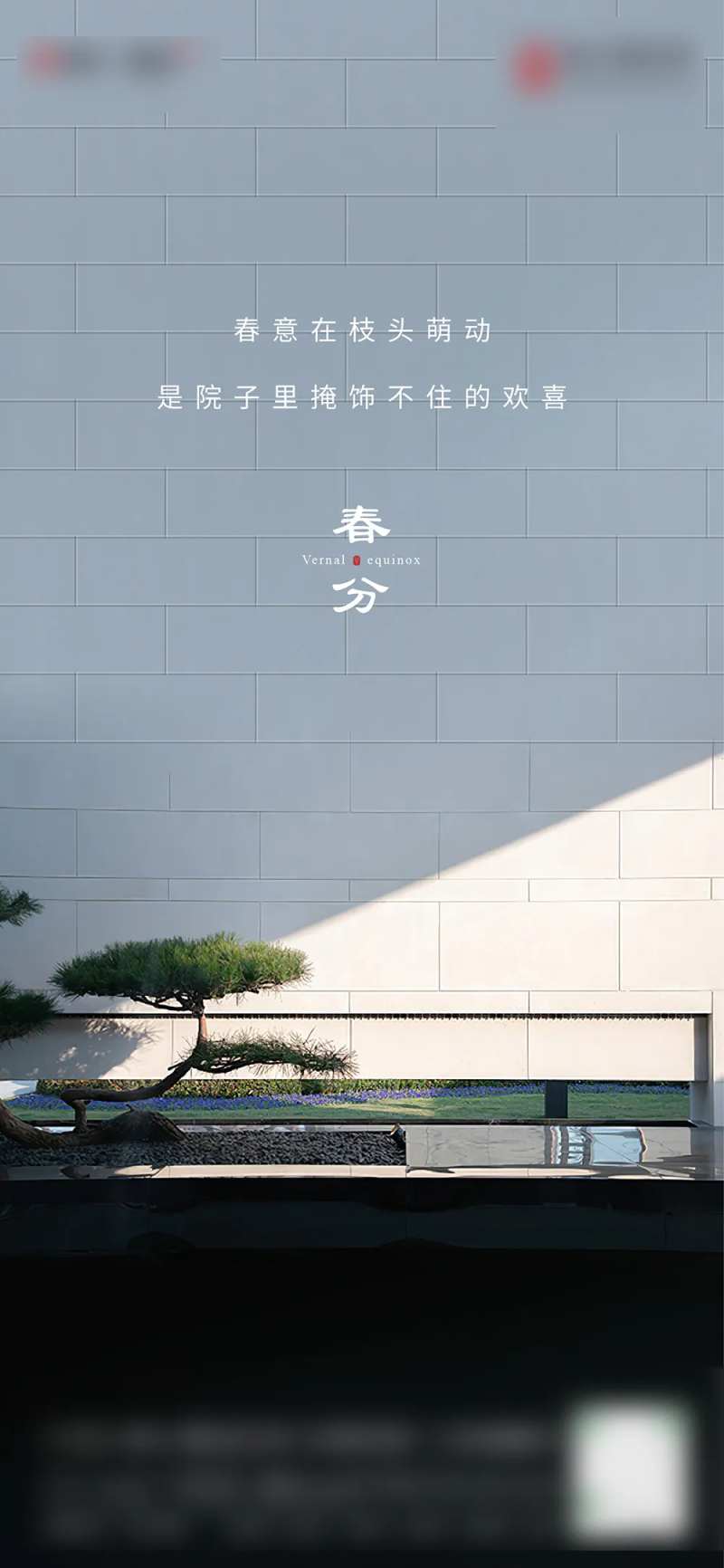 春分节气海报-采灵感-cailinggan.com