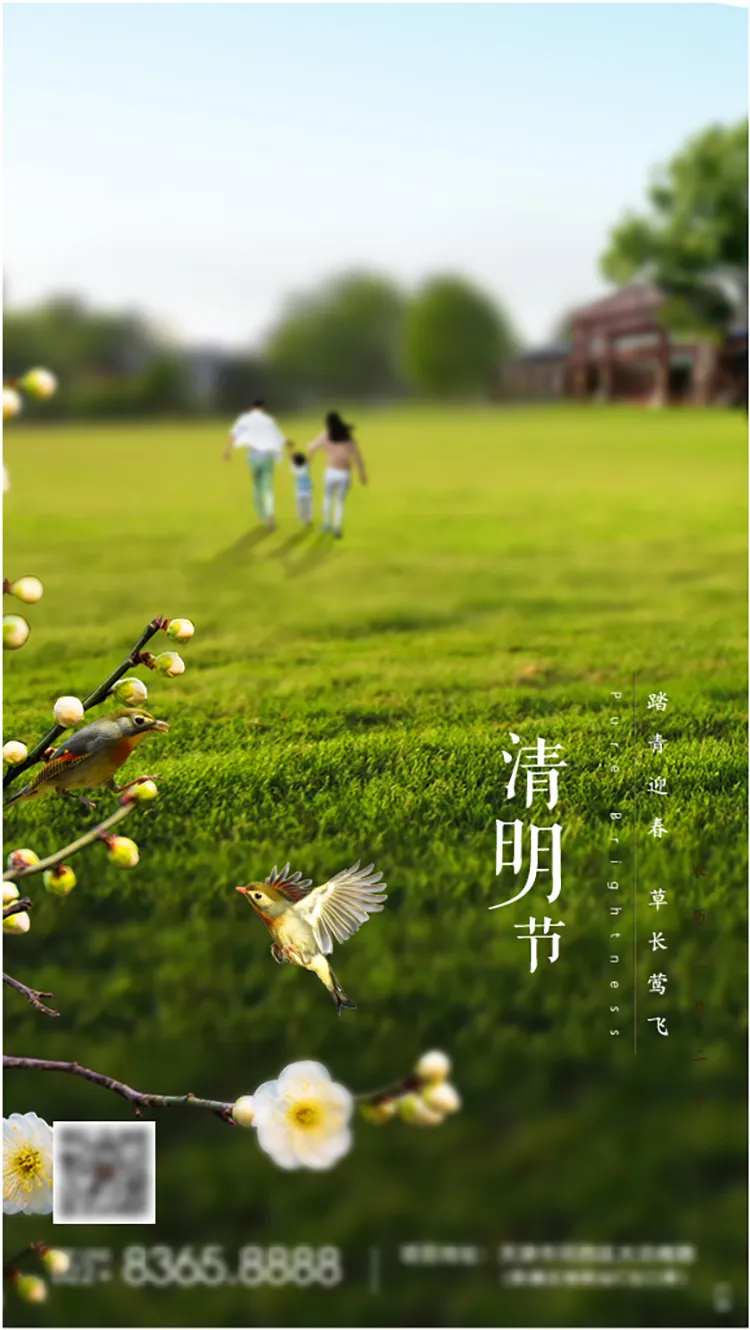 踏春清明海报-采灵感-cailinggan.com