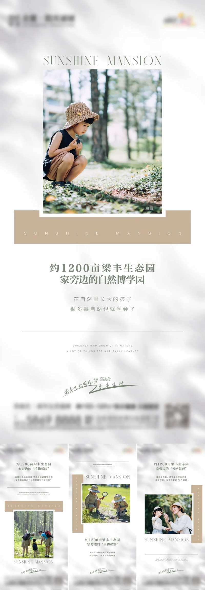 地产自然风景价值点系列海报-采灵感-cailinggan.com