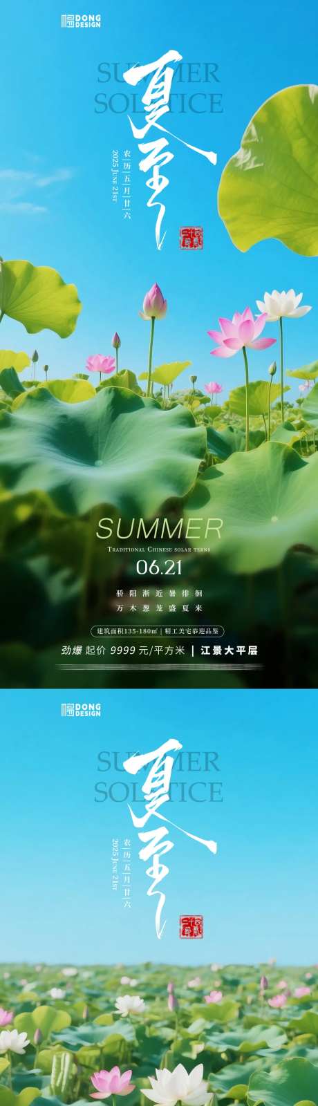 夏至荷花海报-采灵感-cailinggan.com