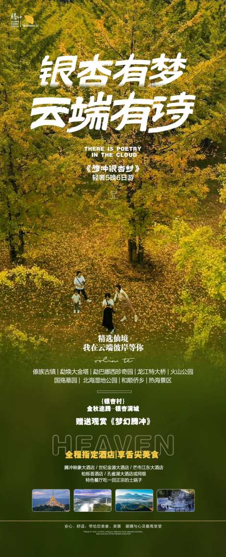 银杏有梦-采灵感-https://www.cailinggan.com/