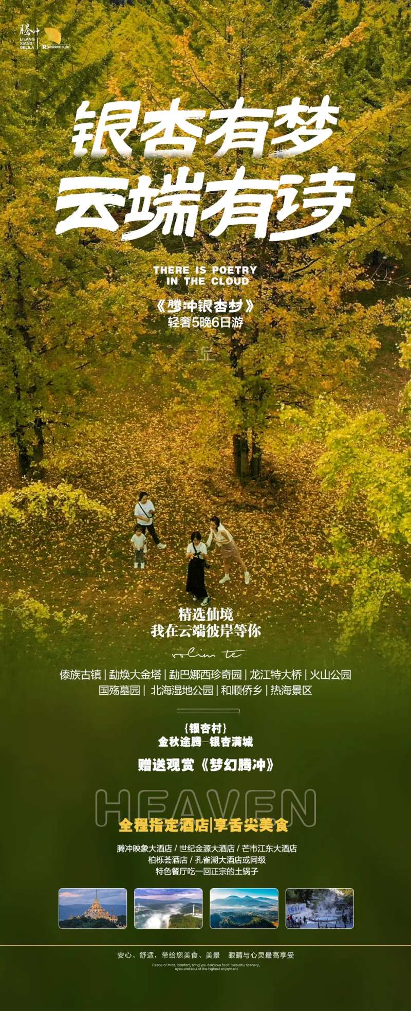 银杏有梦-采灵感-cailinggan.com
