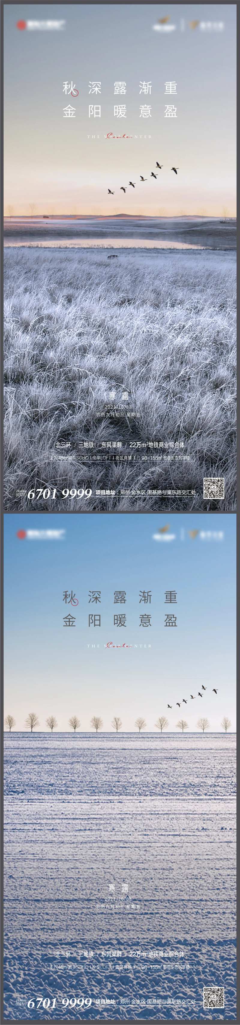 寒露节气-采灵感-cailinggan.com