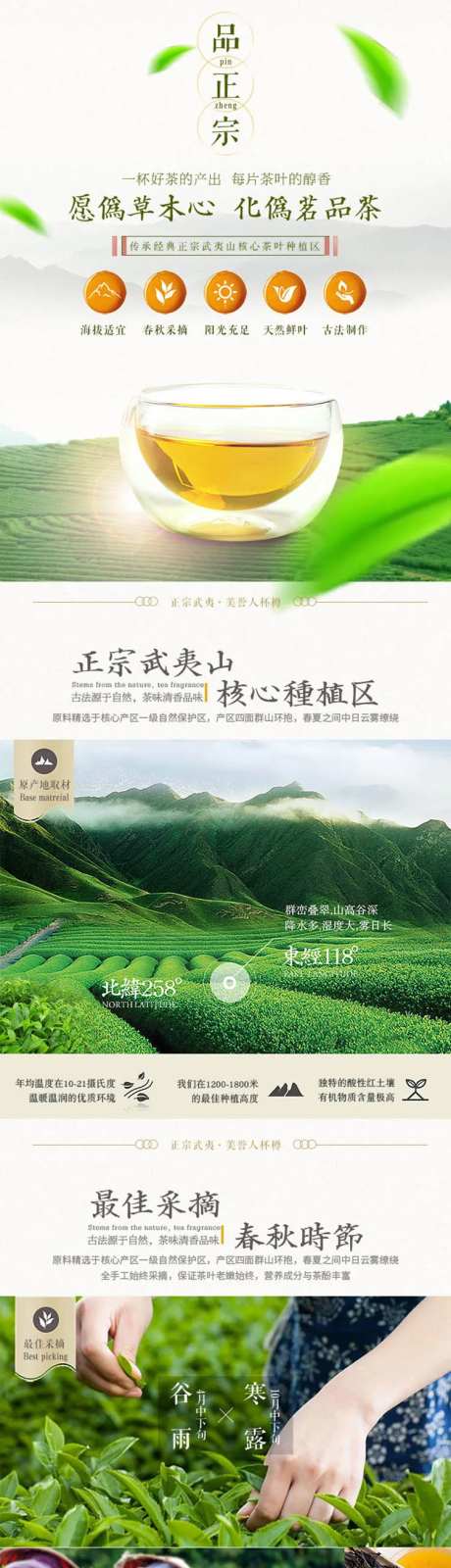 武夷山正山小种详情页-采灵感-https://www.cailinggan.com/