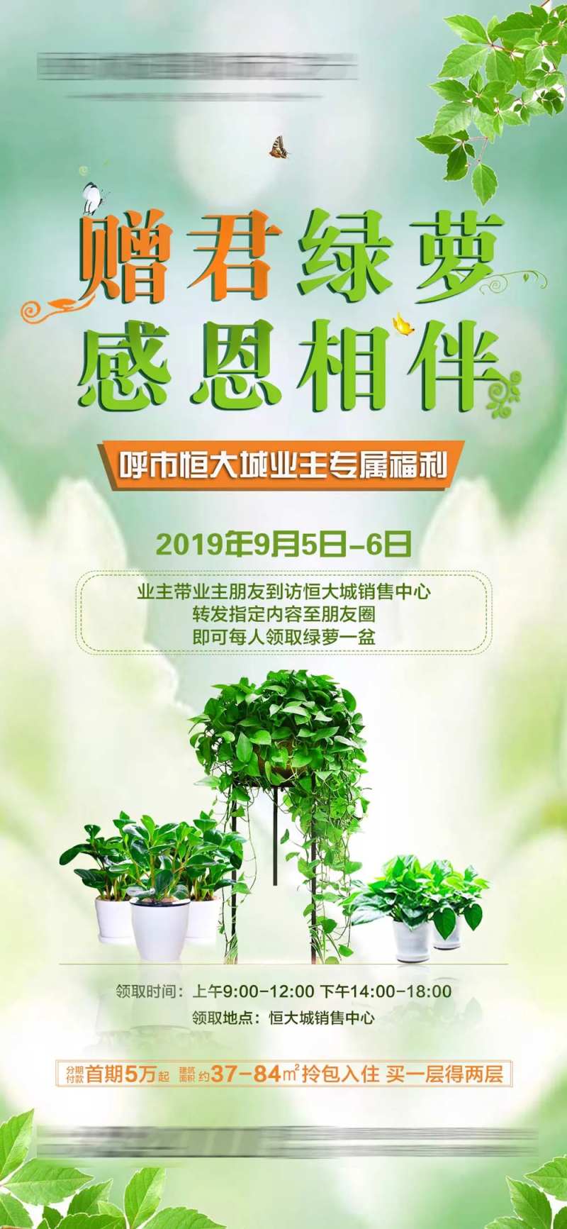 绿萝-采灵感-cailinggan.com