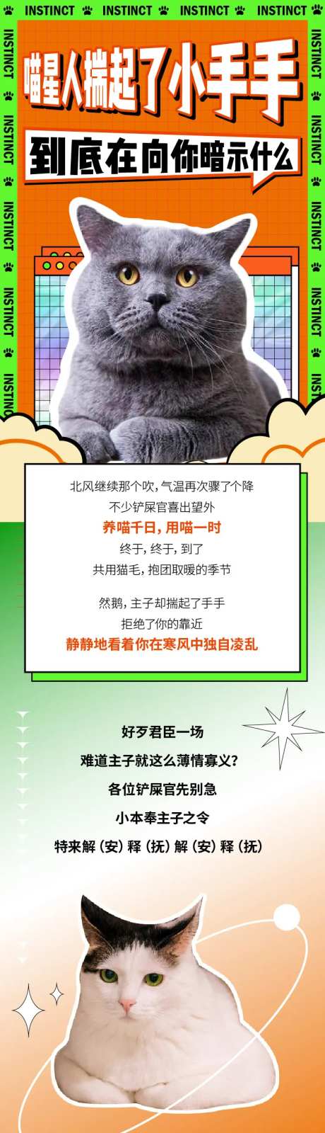 猫咪科普-采灵感-https://www.cailinggan.com/