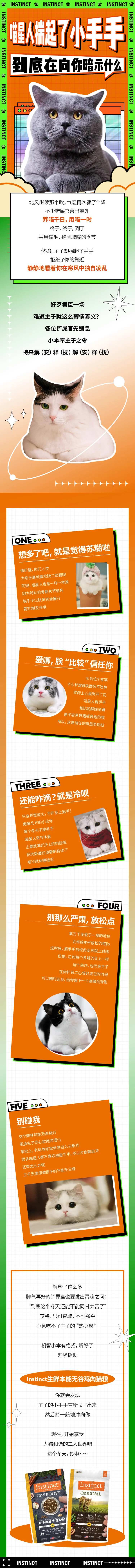 猫咪科普-采灵感-cailinggan.com