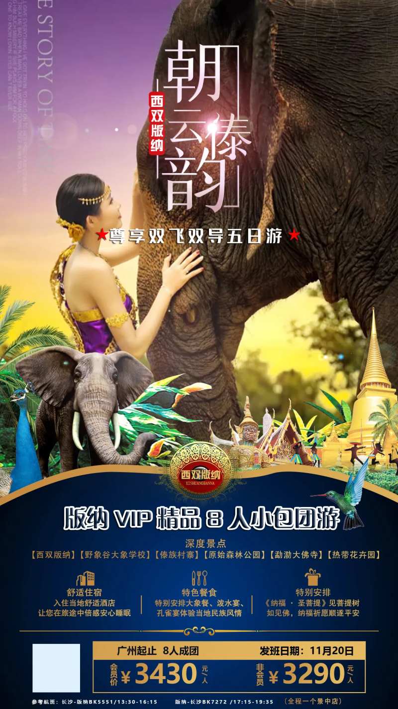 西双版纳精品小包团游海报-采灵感-cailinggan.com