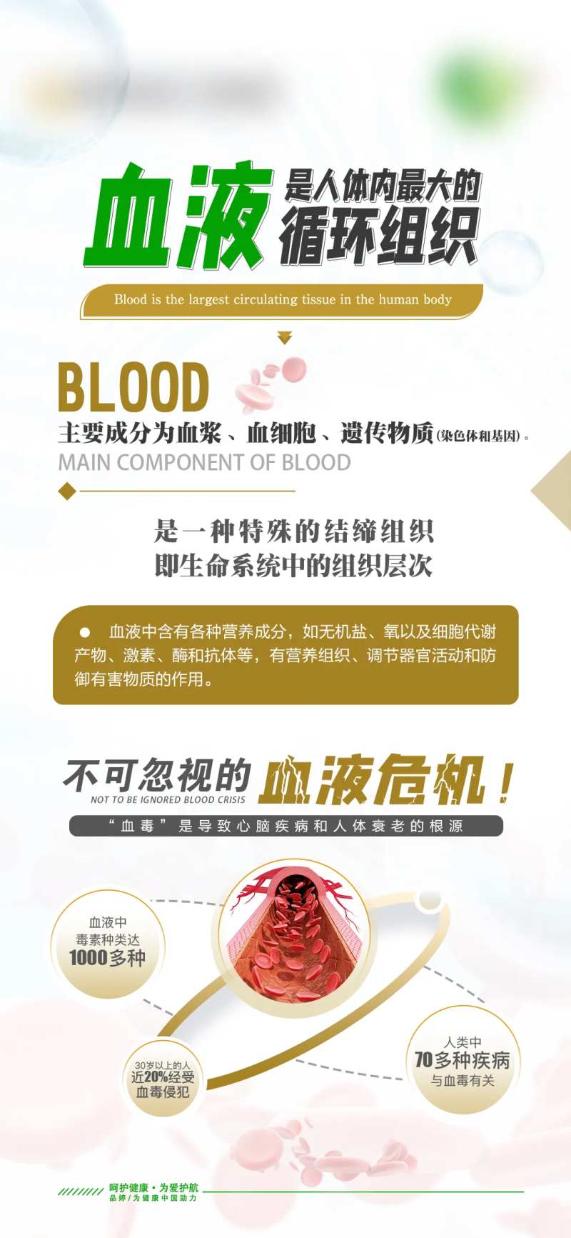血液血管大健康科普 -采灵感-cailinggan.com