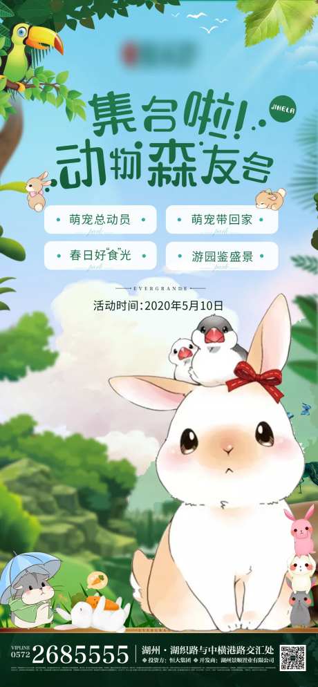 森林暖场活动海报-采灵感-https://www.cailinggan.com/
