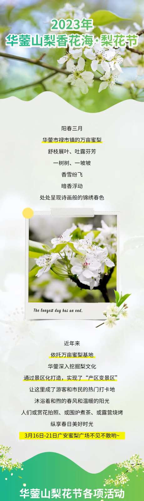 梨花节旅游宣传长图海报-采灵感-https://www.cailinggan.com/