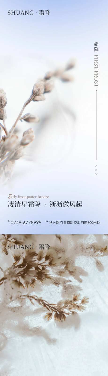 霜降节气海报-采灵感-https://www.cailinggan.com/