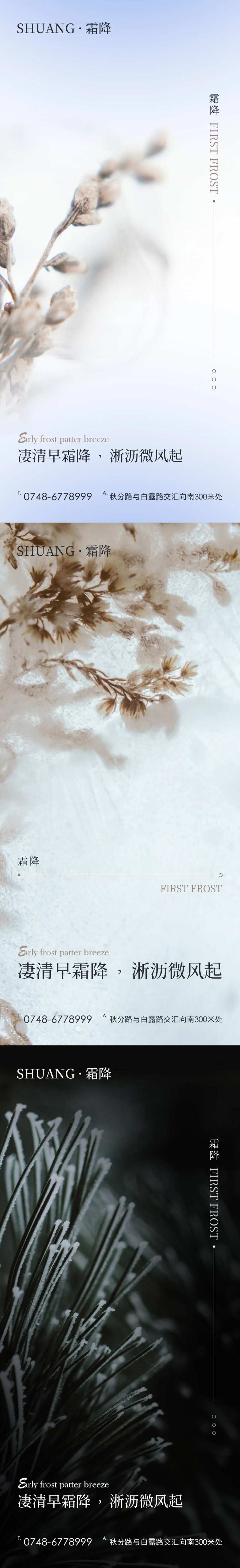 霜降节气海报-采灵感-cailinggan.com