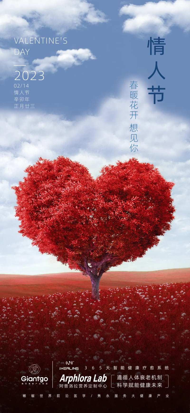 情人节简约海报-采灵感-cailinggan.com